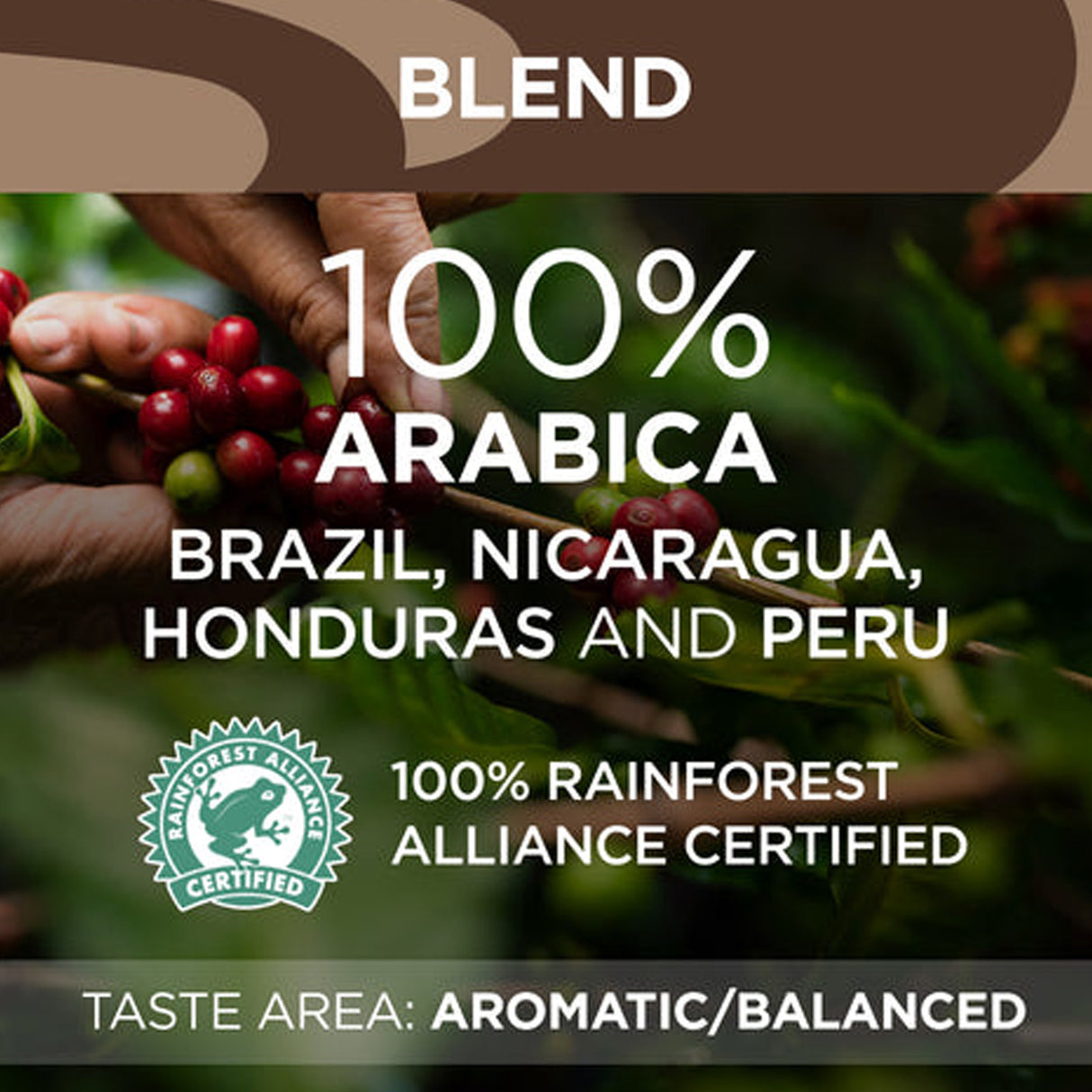 Lavazza Tierra Brasile 100% Arabica Coffee Beans 1kg