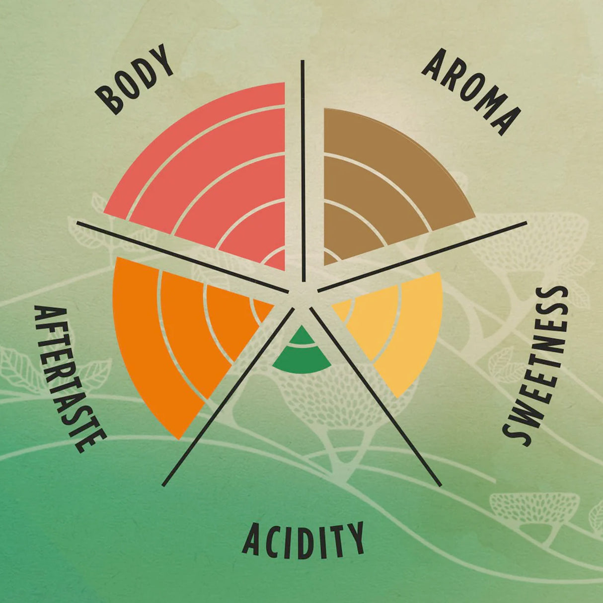 Lavazza Tierra Brazil Espresso Blend tasting notes