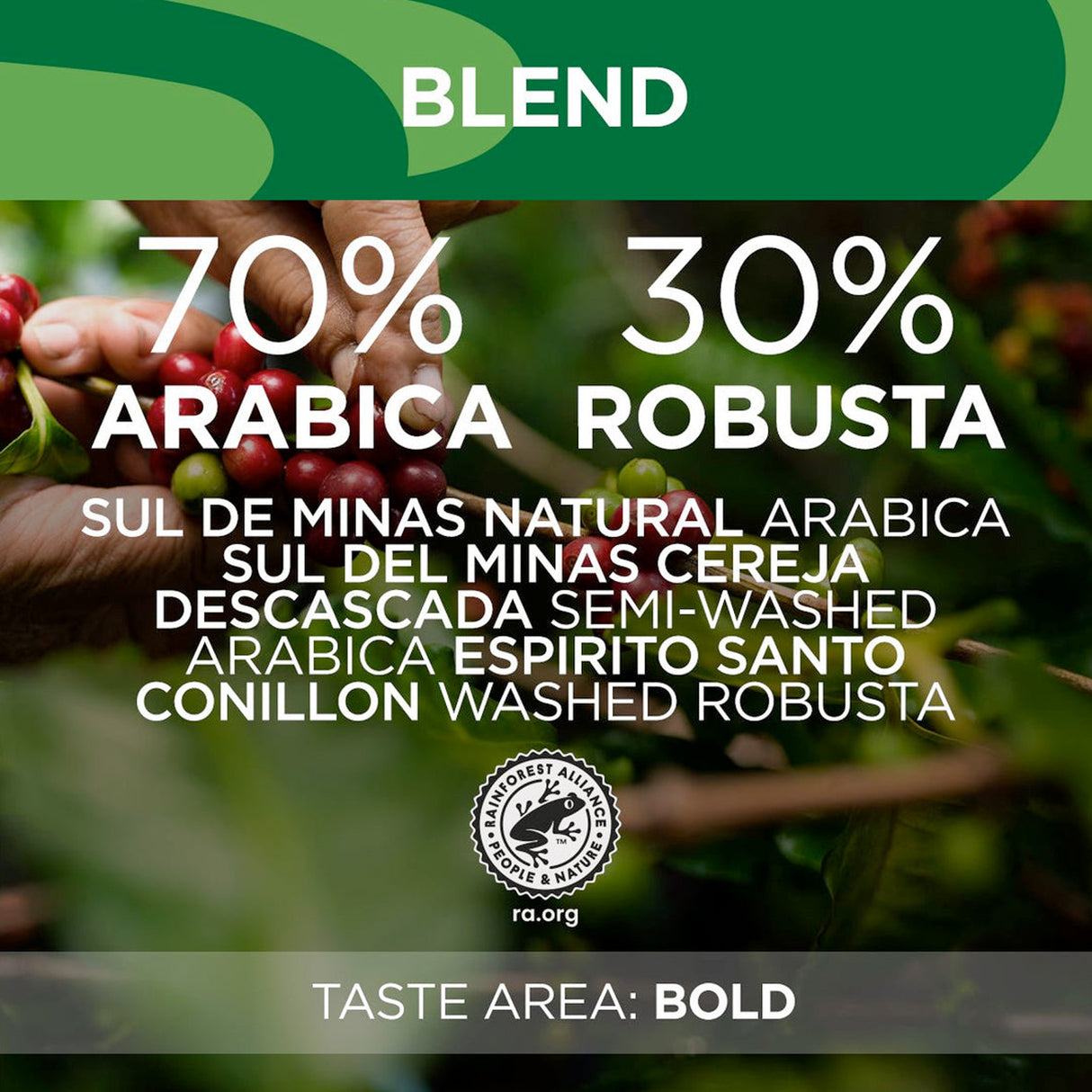 Lavazza Tierra Brazil Espresso Blend Beans blend
