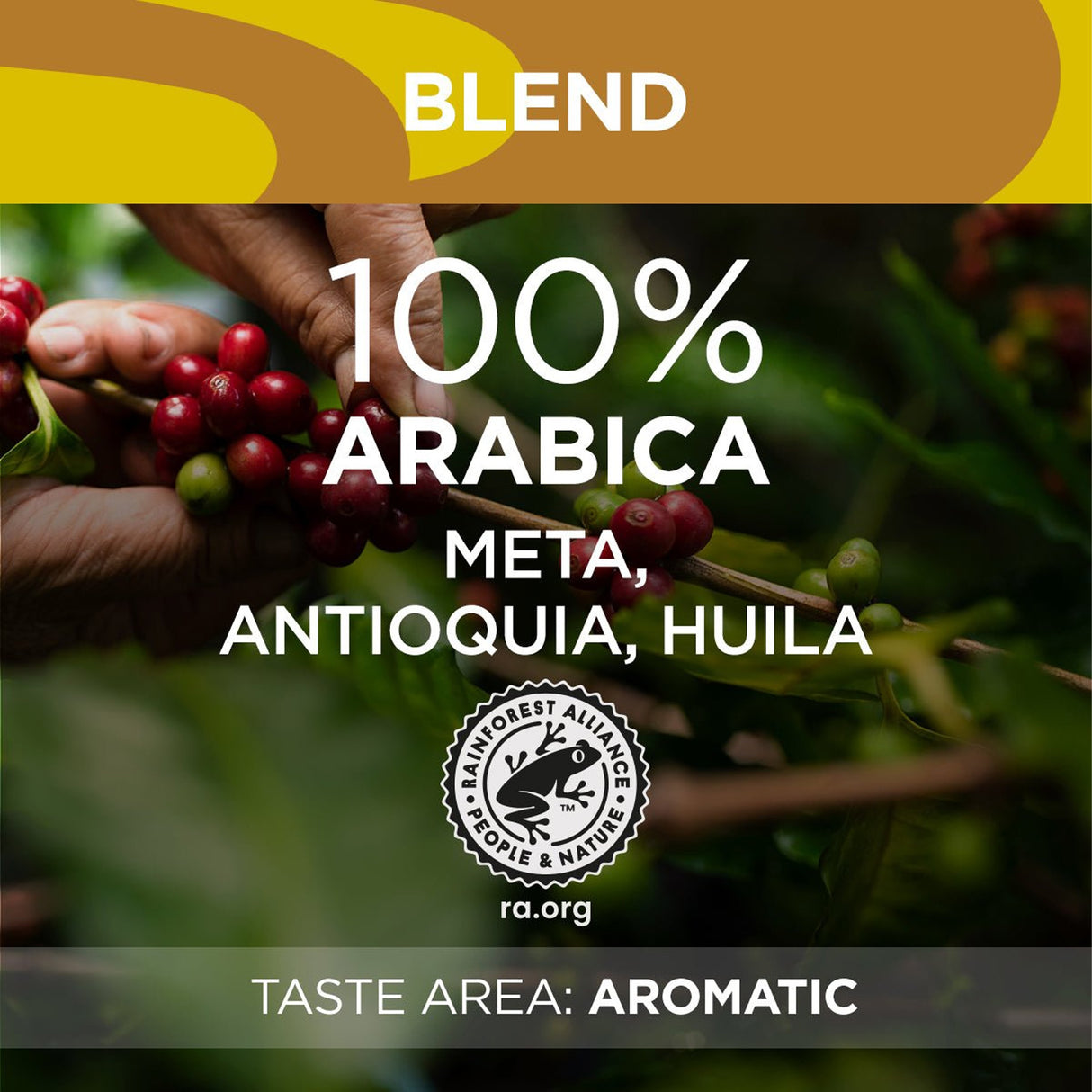 Lavazza Tierra Colombia Coffee Beans 6x1kg