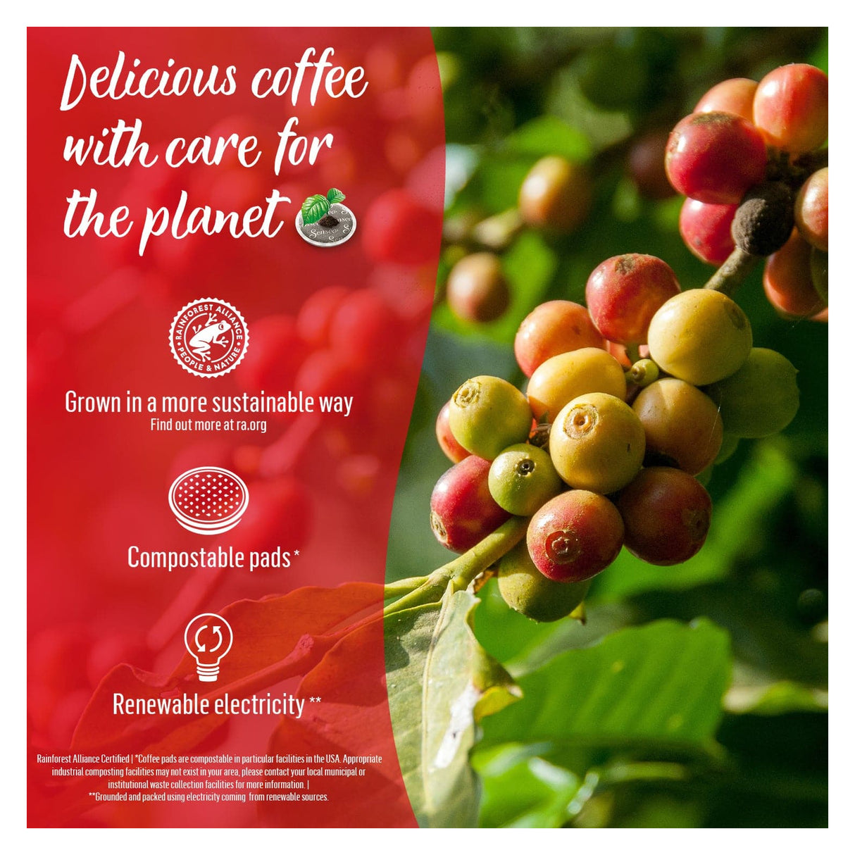 Coffee beans on a branch with a red promotional banner about sustainable coffee practices.