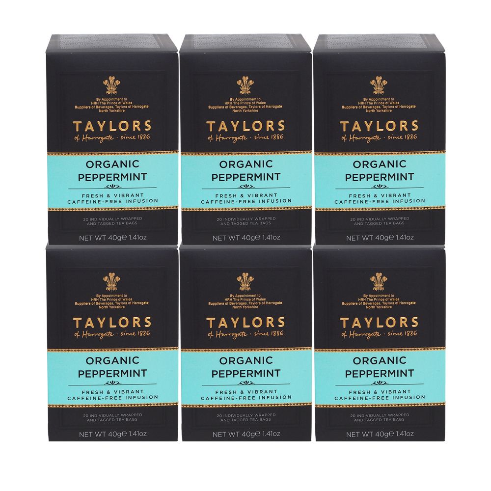 Taylors of Harrogate Organic Peppermint 6 x 20 Envelope Tea Bags