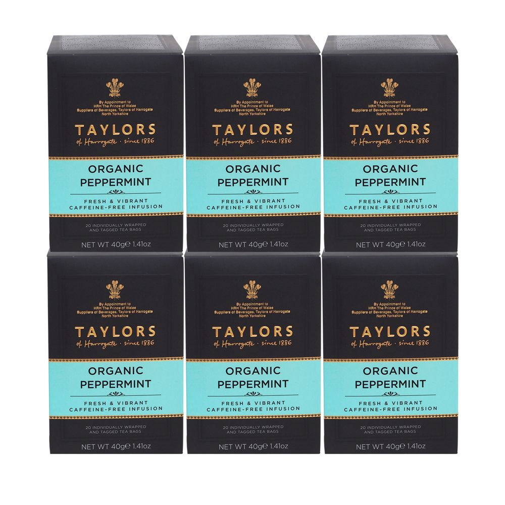 Taylors of Harrogate Organic Peppermint 6 x 20 Envelope Tea Bags
