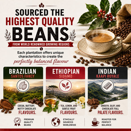 Promotional graphic for coffee beans featuring three flavor options: Brazilian Santos Fancy, Ethiopian Sidamo, and Indian Kaapi Royale. The design includes a cup of coffee, scattered coffee beans, cocoa pods, holly leaves, and a burlap sack on a light beige background with text highlighting high quality and ethical sourcing.