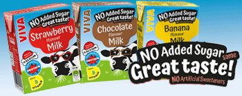 Viva Flavoured Milk Cartons
