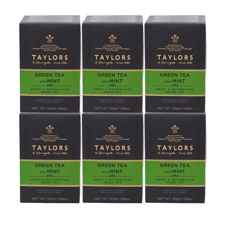 Taylors of Harrogate Green Tea with Mint 6 x 20 Envelope Tea Bags