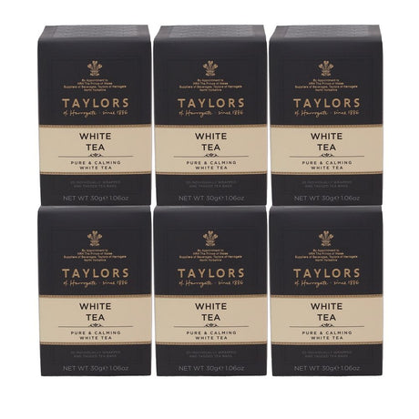 Taylors of Harrogate White Tea 6 x20 Envelope Tea Bags